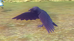 《妖妖剑戟梦想》详细攻略| 《妖妖剑戟梦想》详细攻略|