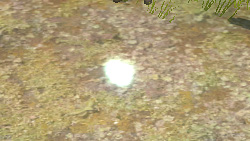 《妖妖剑戟梦想》详细攻略| 《妖妖剑戟梦想》详细攻略|