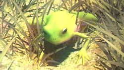 《妖妖剑戟梦想》详细攻略| 《妖妖剑戟梦想》详细攻略|